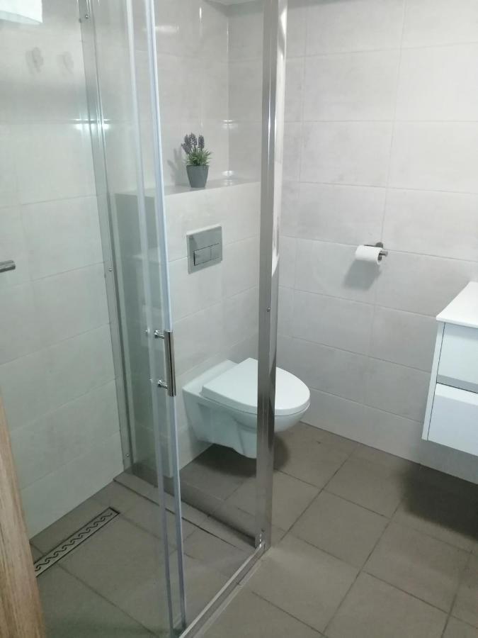Apartament Villa Magnolia Oświęcim Εξωτερικό φωτογραφία